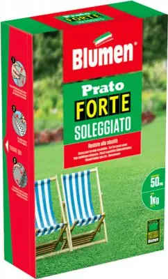 Prato Blumen soleggiato