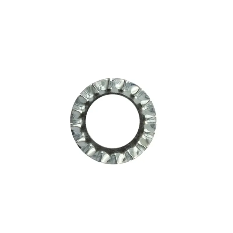 Rondella dentatura esterna din 6798-a zincata m6 pz40