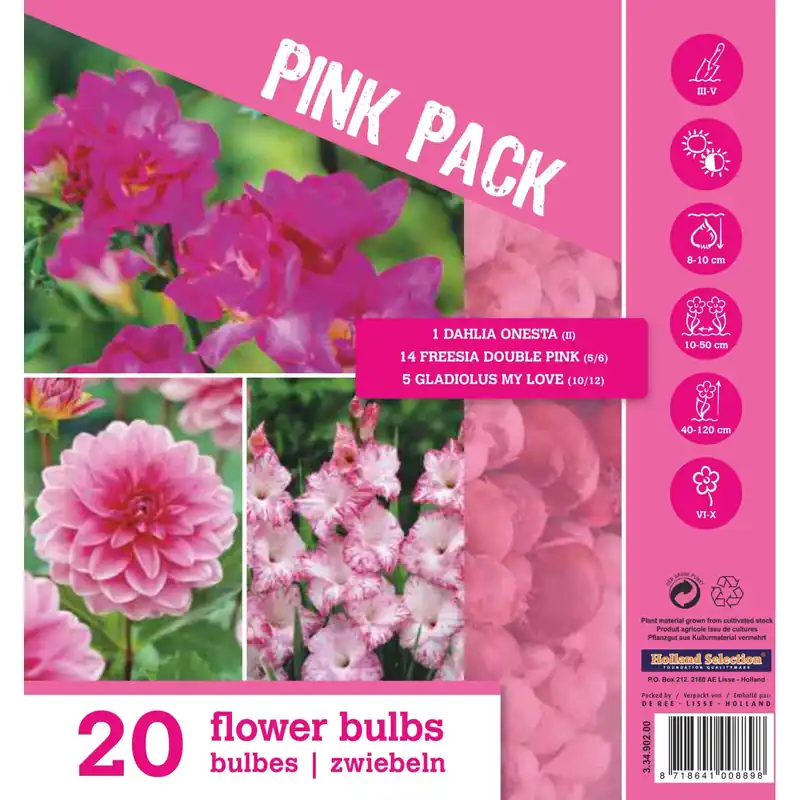 Colourpack "Rosa"