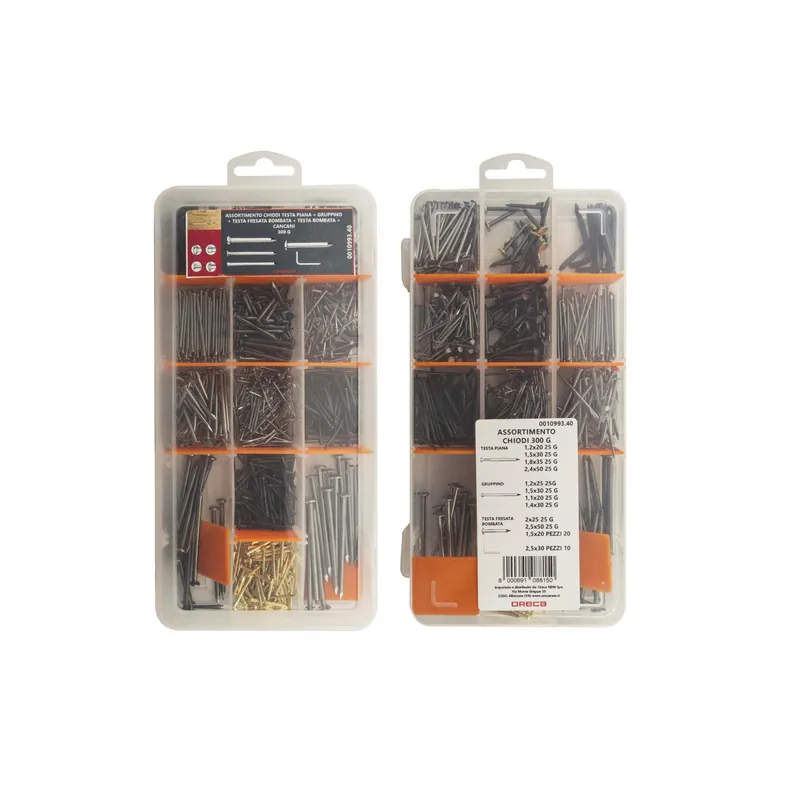 Assortimento chiodi testa piana/fresata bombata/gruppino/cancani 300g