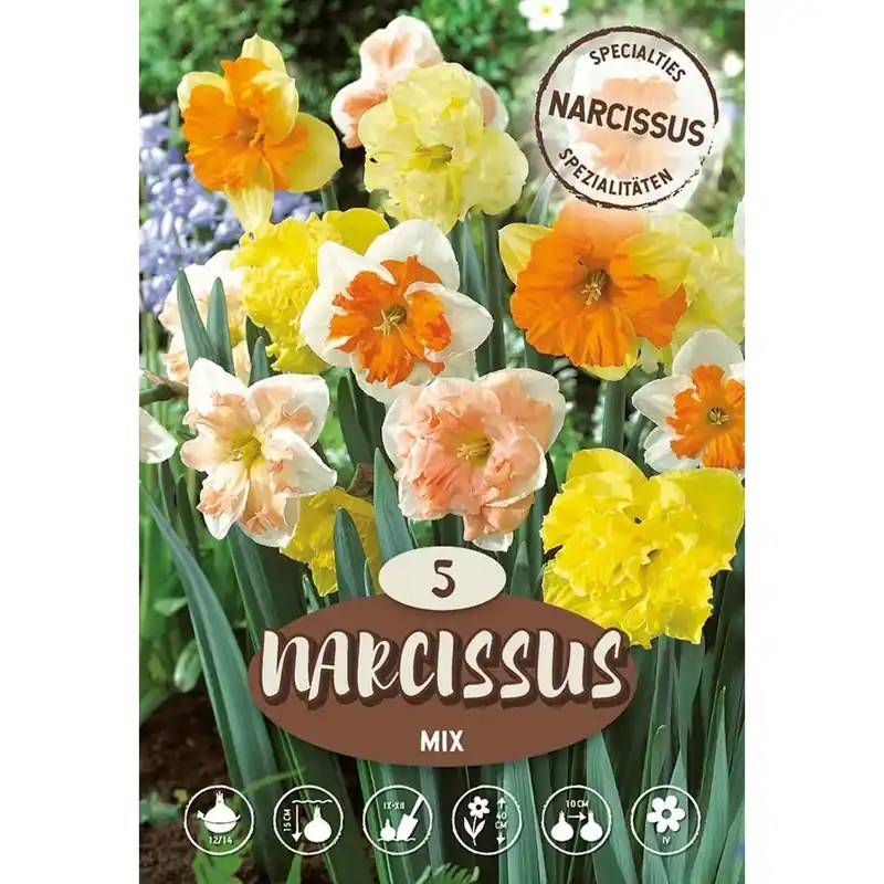 Narciso Orchid Misto
